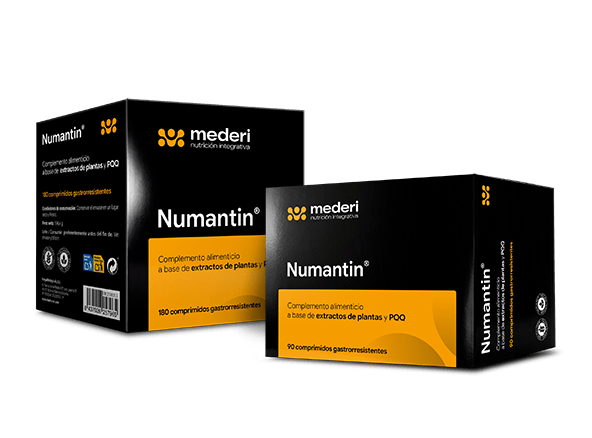 Numantin