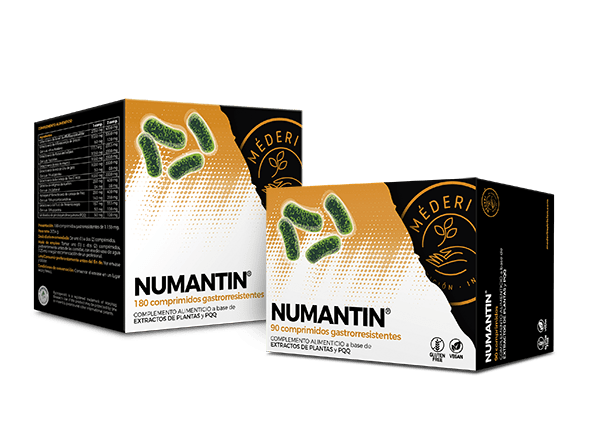 Numantin