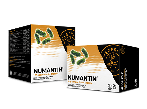 Numantin